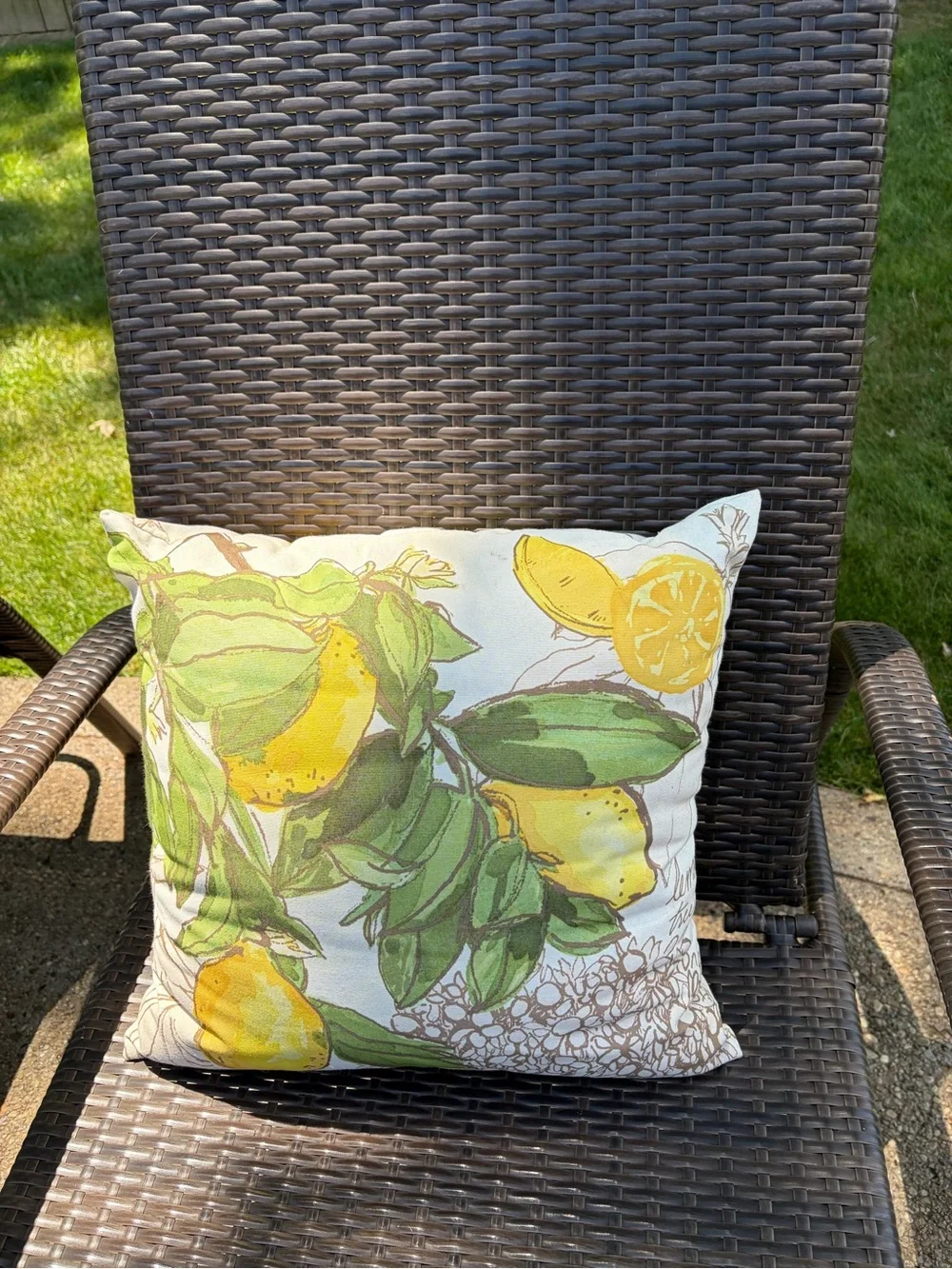 Pottery Barn Lemon & Leaf Print Accent Pillow - Yellow Green